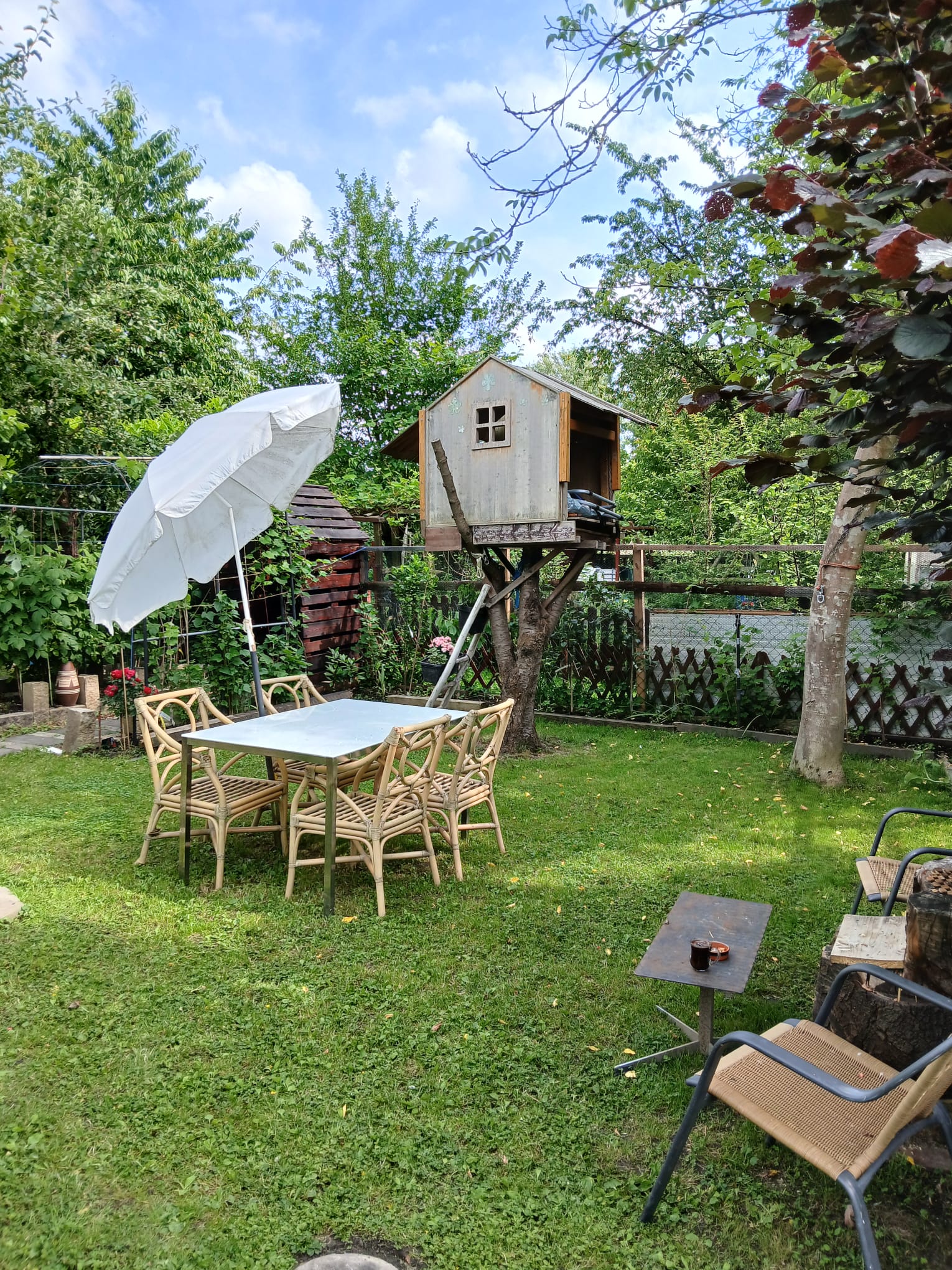 Gartengestaltung — ALWISI Landschaftsbau Neuss